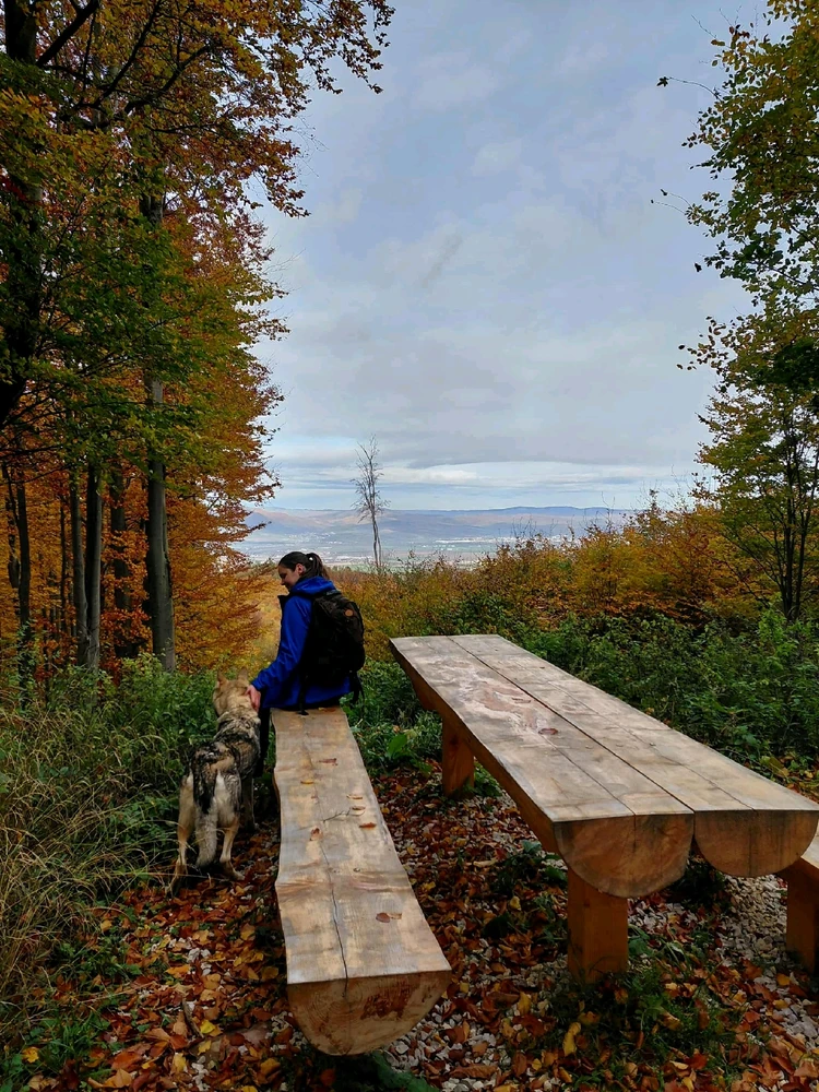 Fotku nahral/-a Vanda