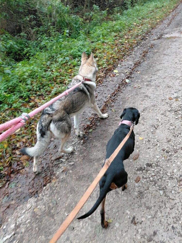 Fotku nahral/-a Vanda