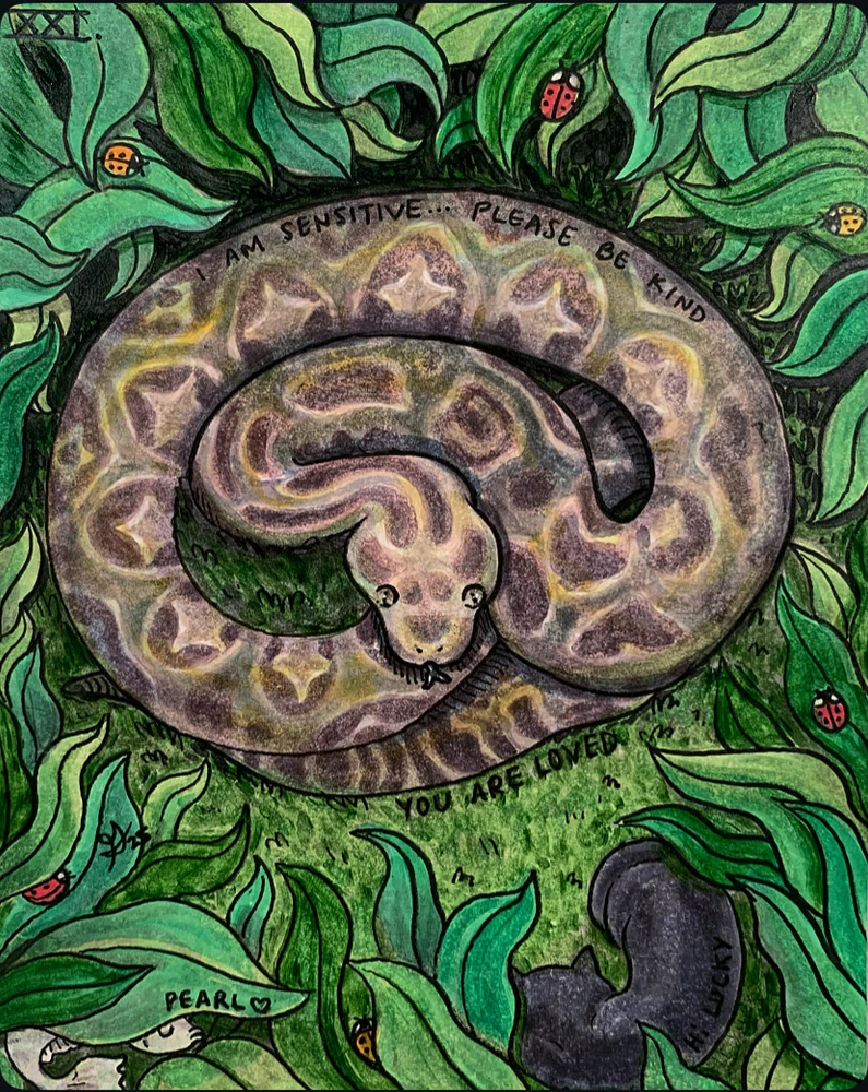 XXI. “U is for Urutu”

Alphabet Animals (10/30/25)