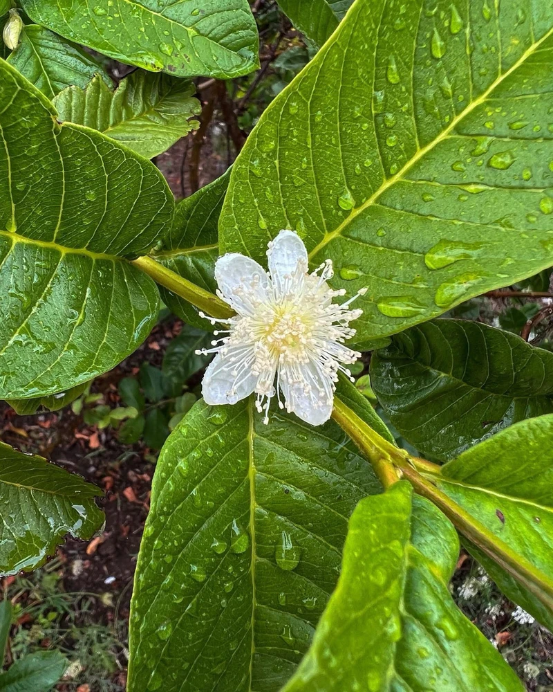 GIF enviado por Dnimreven