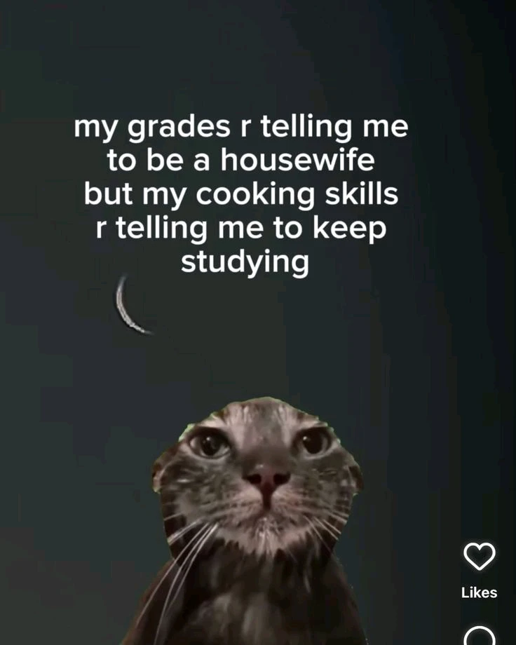 If I study, I will die.
If I cook, someone will die.
Damn.