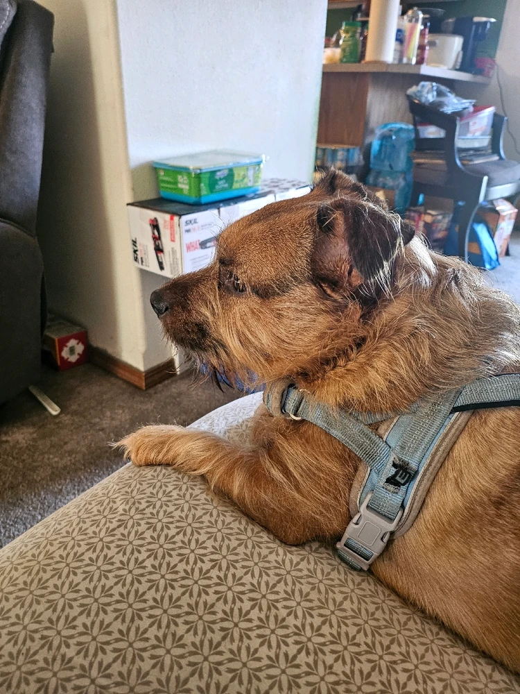 GIF diunggah dening Aiesha