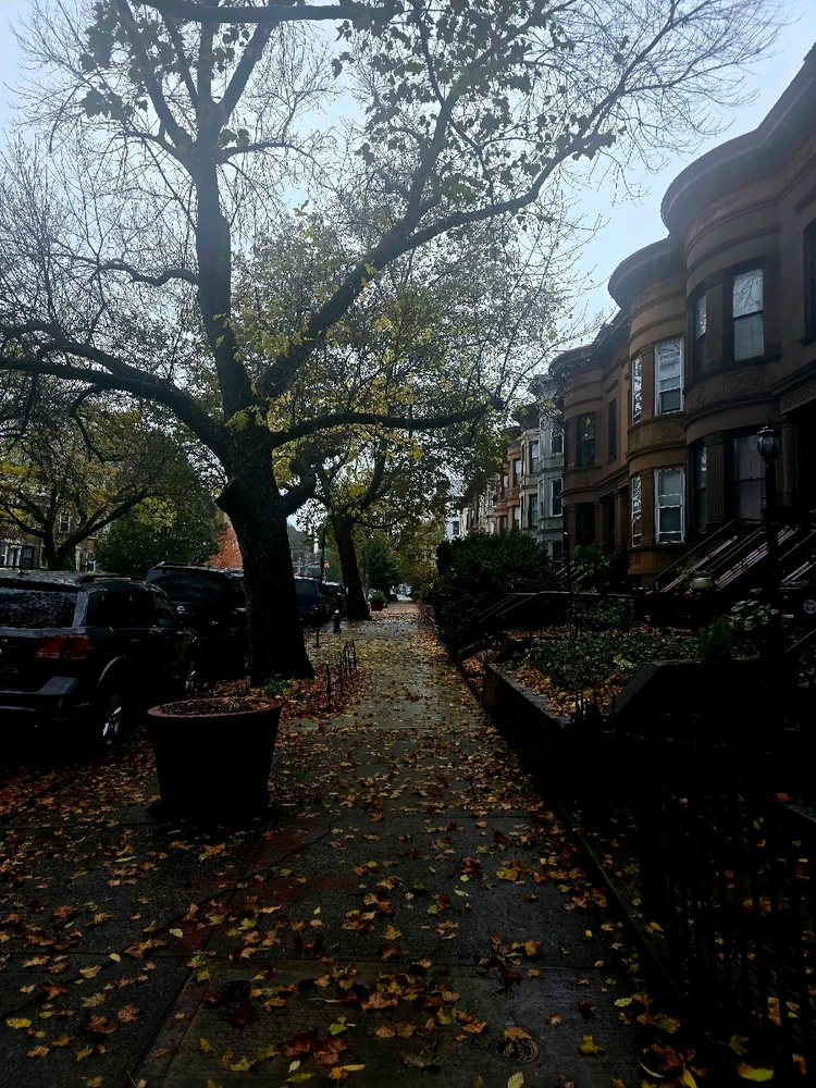 Walking down the streets like this 🍂🍁