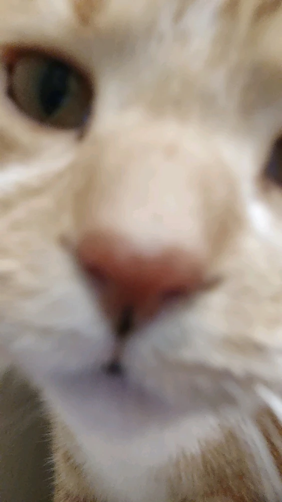 GIF uploaded by Dakota