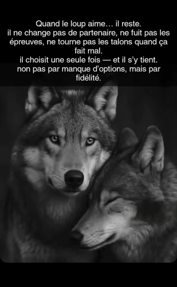 L'une des raisons pour lesquelles j'aime cet animal 😍🤩