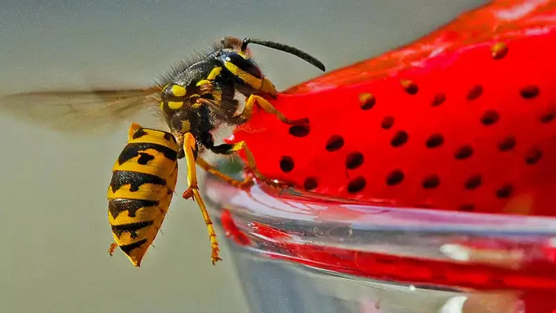 GIF hochgeladen von Jasmin