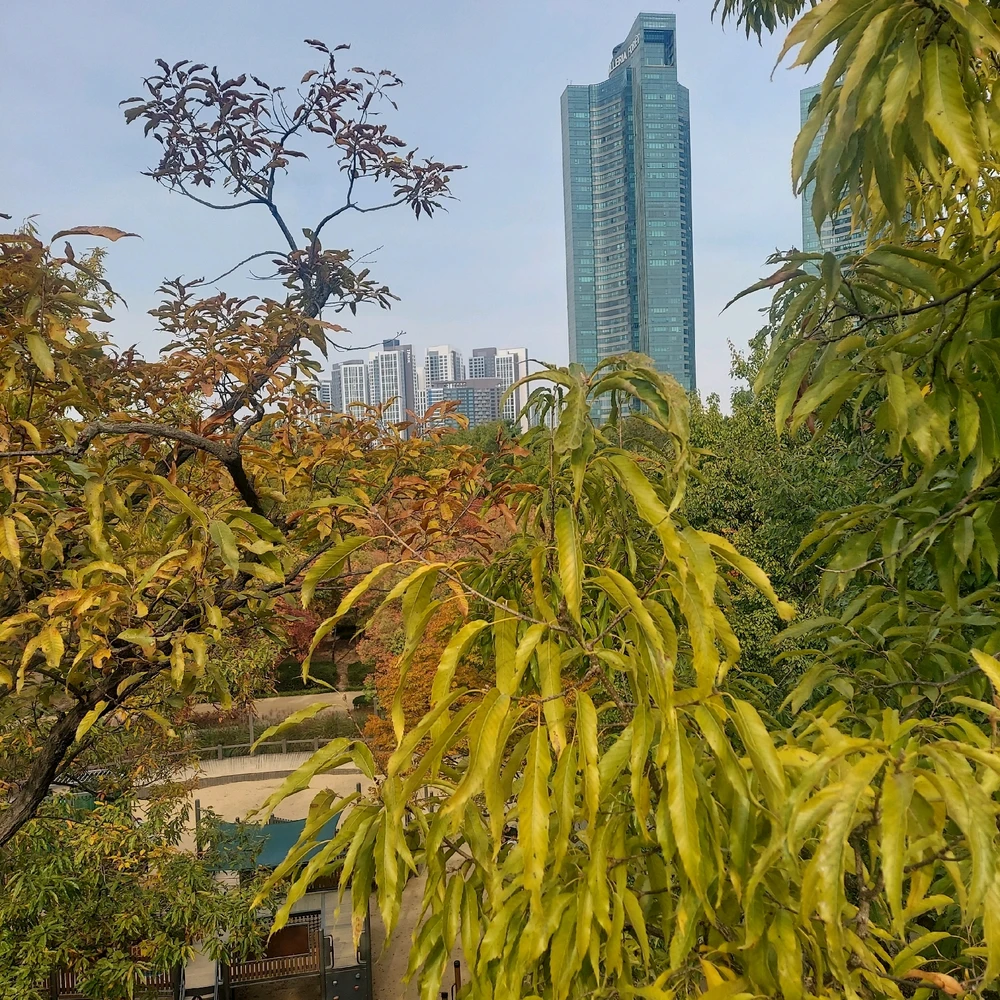 GIF uploaded by Lily