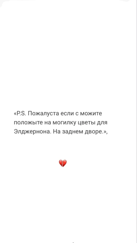 Твоя любимая цитата