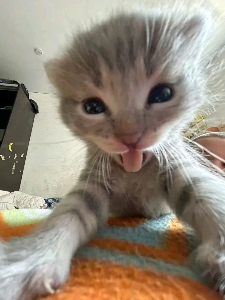 GIF загрузил Даня