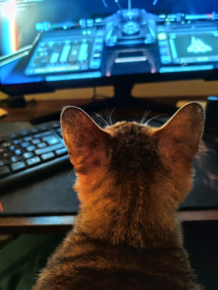 Bien accompagné sur Star Citizen 🥰