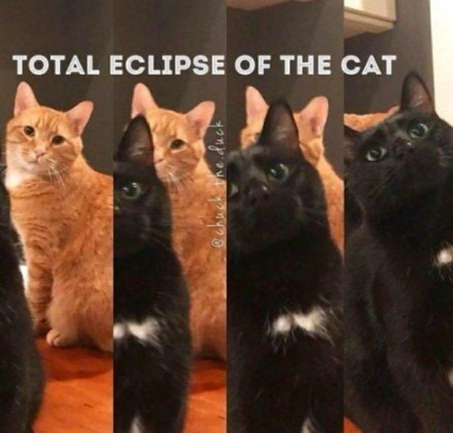 GIF diunggah dening Michael B