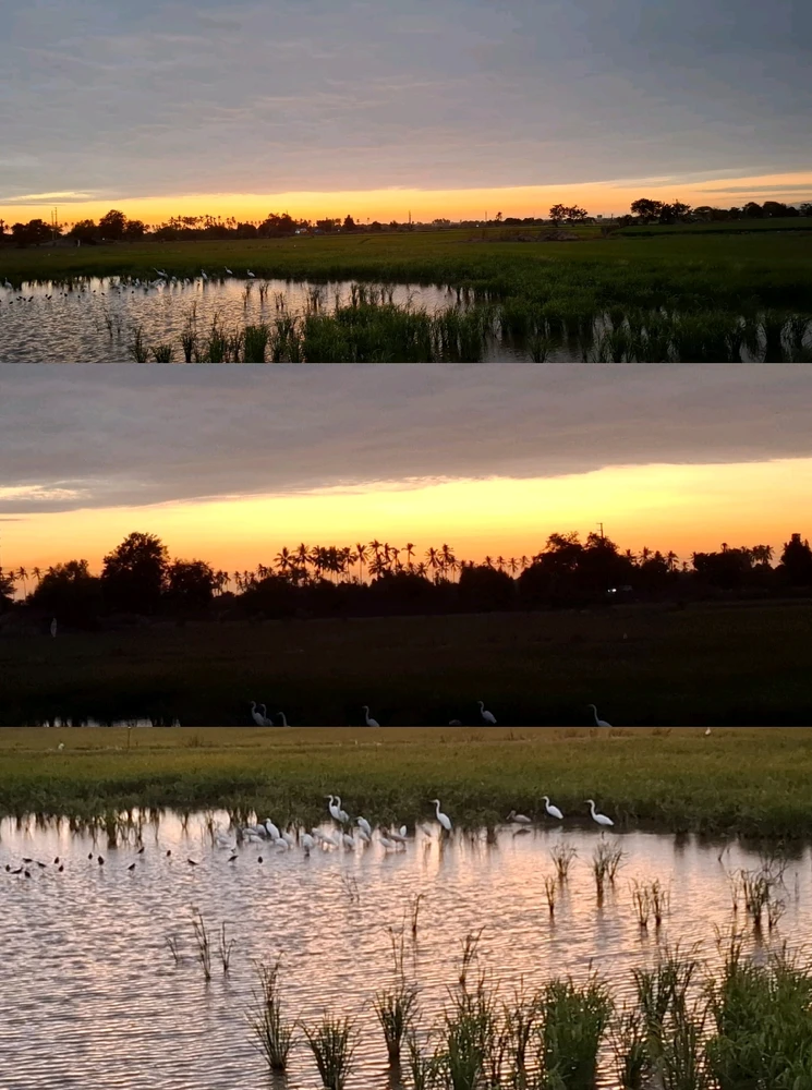 GIF subido por Blanca
