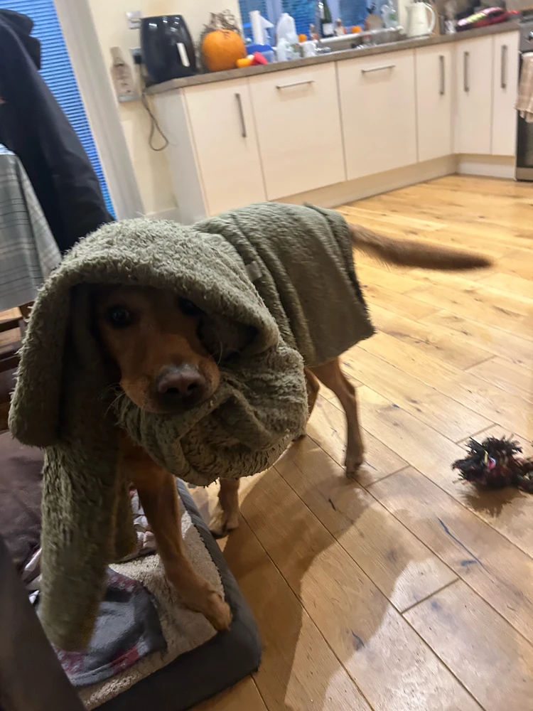 Image uploaded by Jack