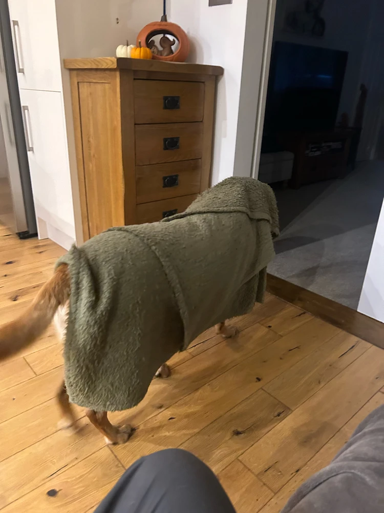 Image uploaded by Jack