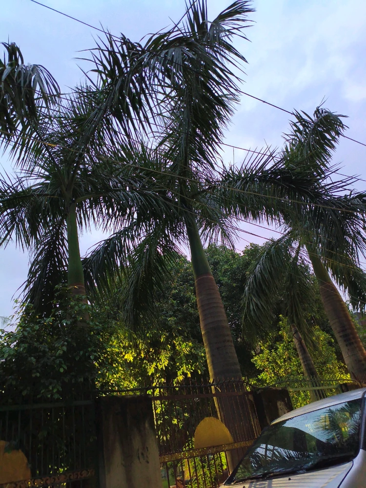 GIF uploaded by ishan sehgal