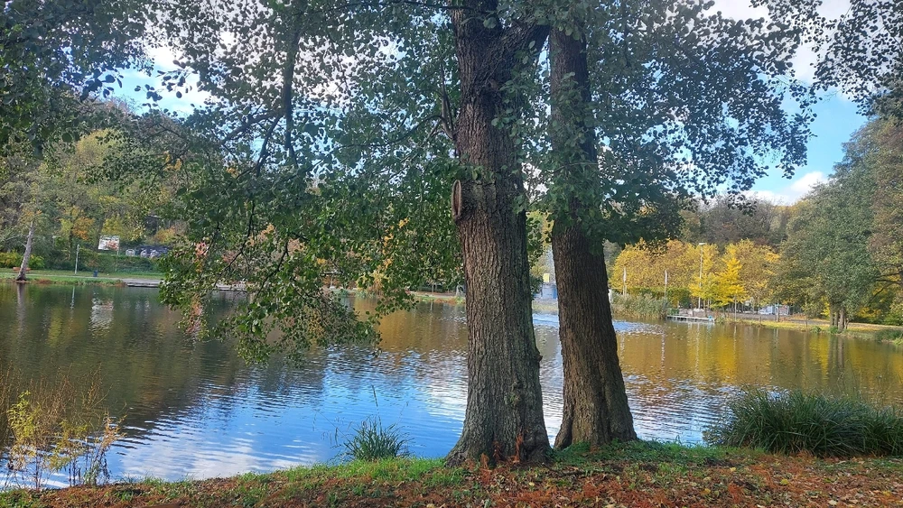 Гіфку завантажив Dan