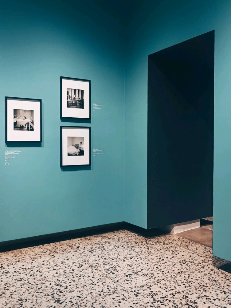 Immagine caricata da Giulio