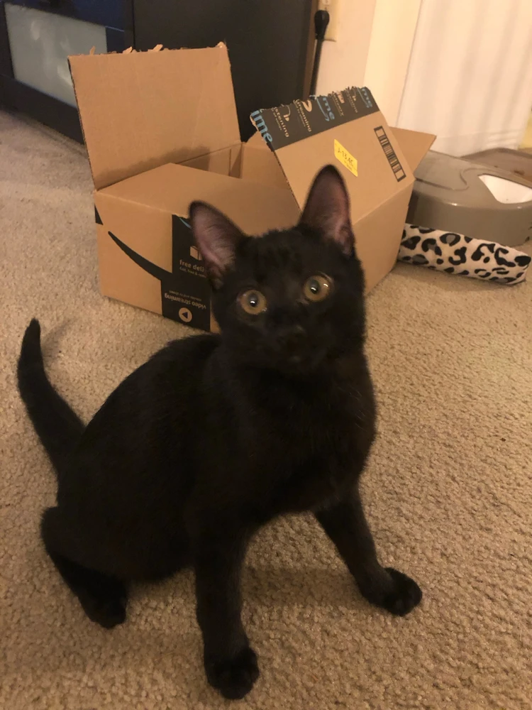 Image uploaded by Vic