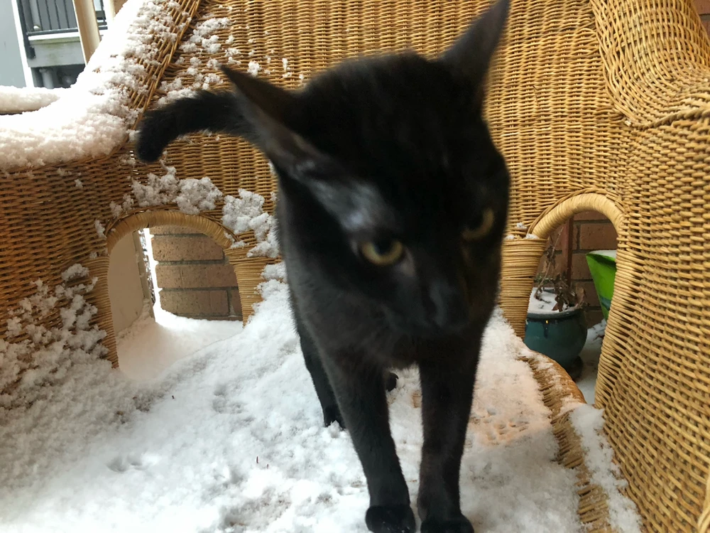 Image uploaded by Vic