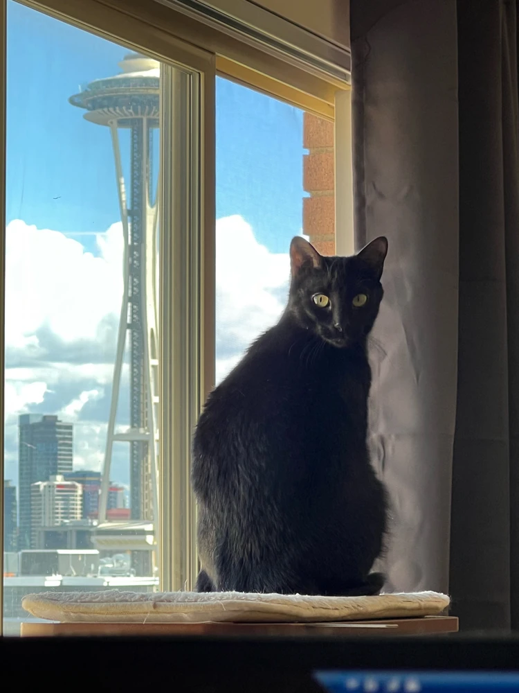 Image uploaded by Vic