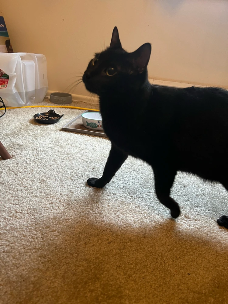 Image uploaded by Vic