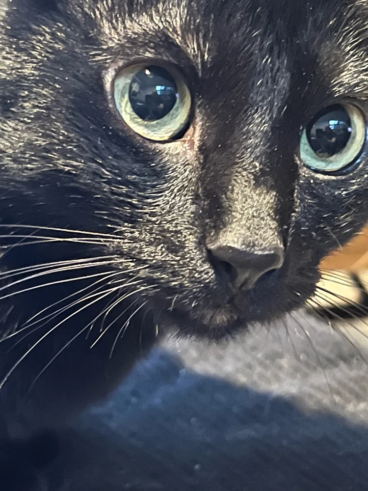 Image uploaded by Vic