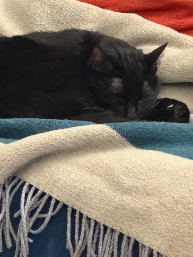 Image uploaded by Vic