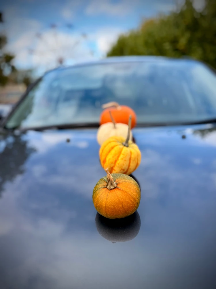 Halloween Cars