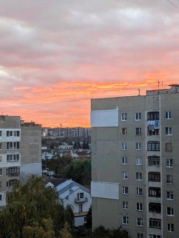 Лея님이 올린 GIF