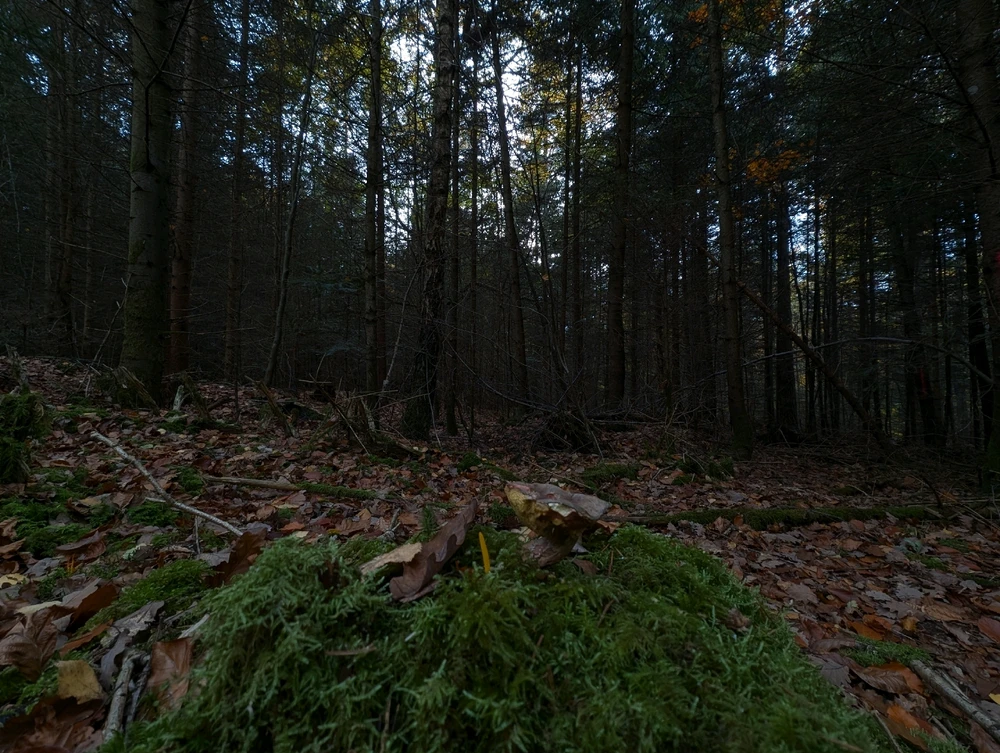 Гіфку завантажив Alex