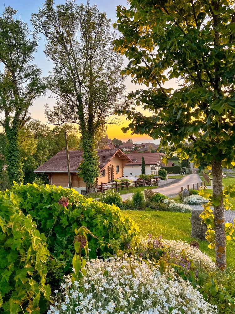 Home… in my dream💭😘🌙💖🤗🌻