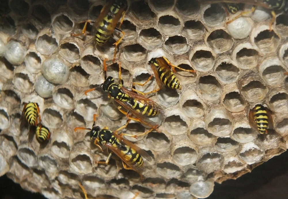 GIF caricata da Salvatore