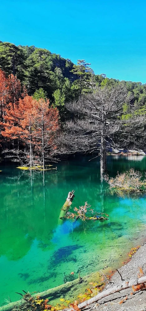 GIF uploaded by Bora