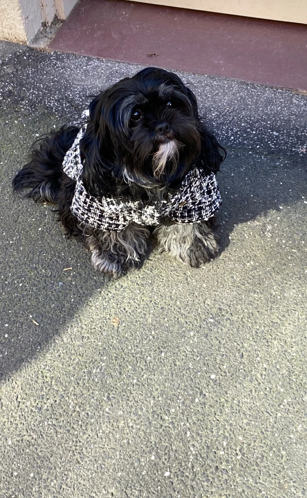 GIF uploaded by Danish