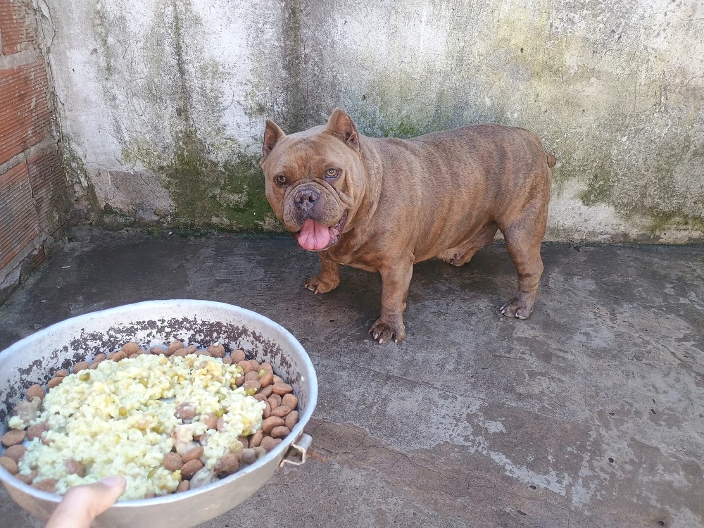 GIF subido por Anoon