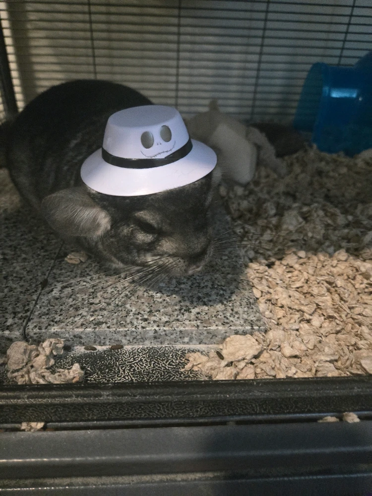 GIF uploaded by Arcticfoxdemon