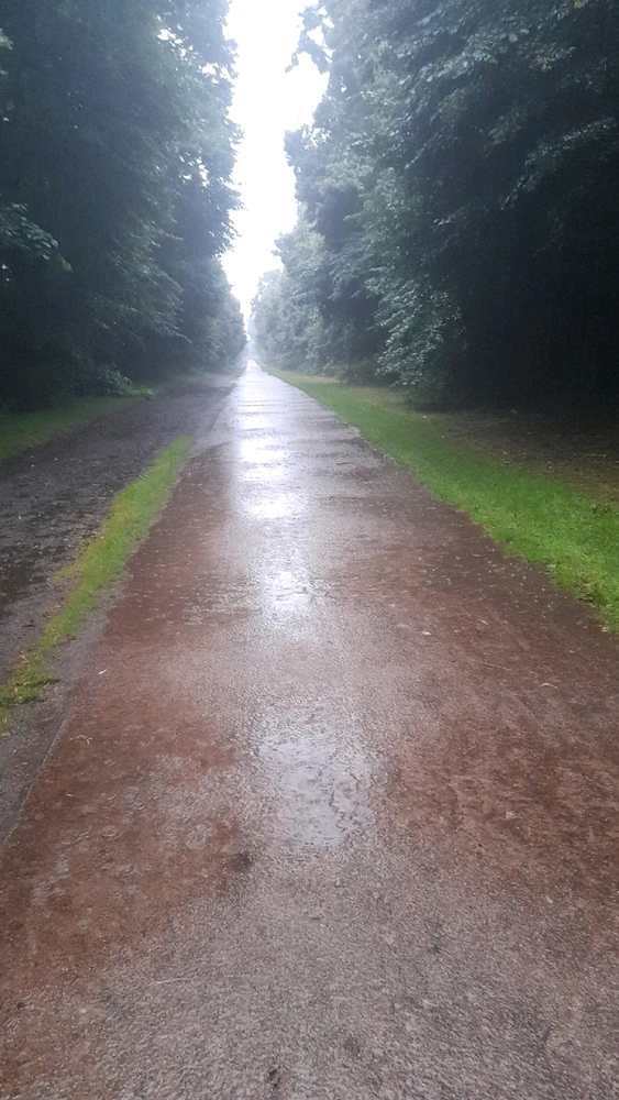 Muddy puddles (poem)