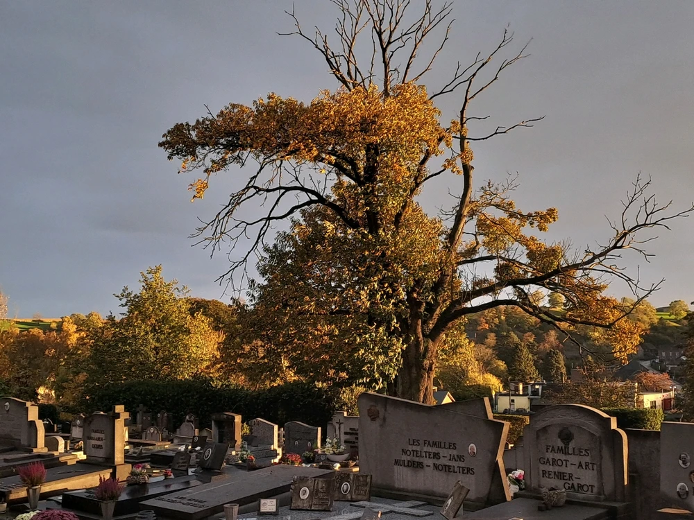 GIF ajouté par Rémy