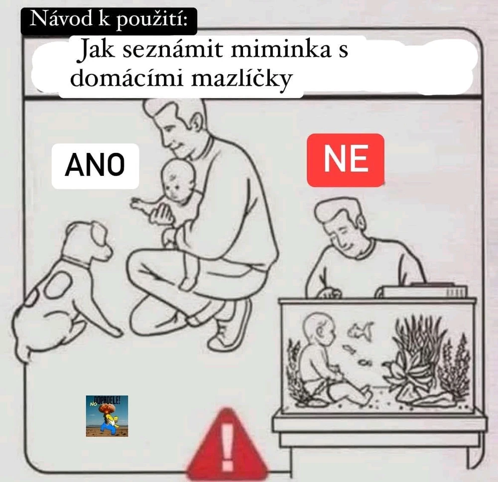 GIF nahrál Já