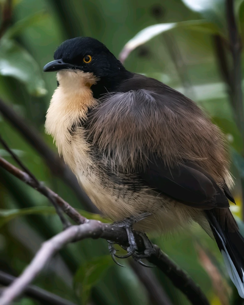 GIF subido por Martín