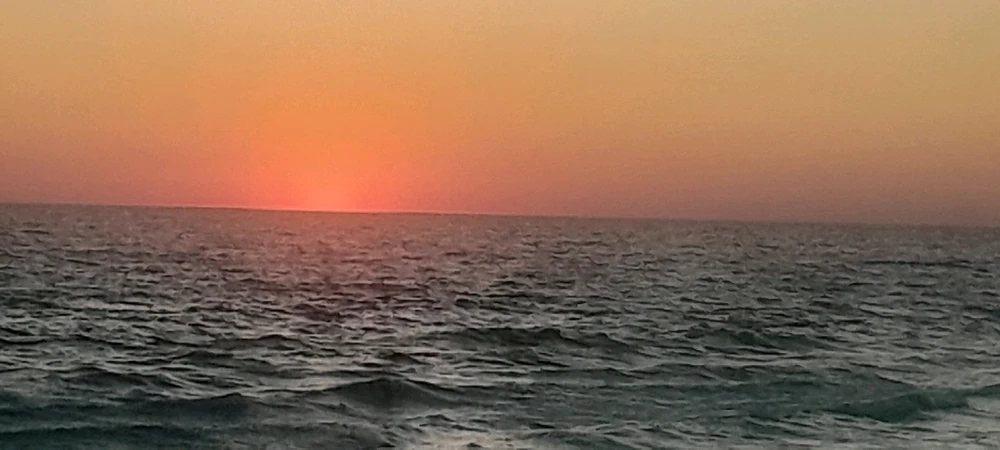 GIF diunggah dening Christopher Hewett