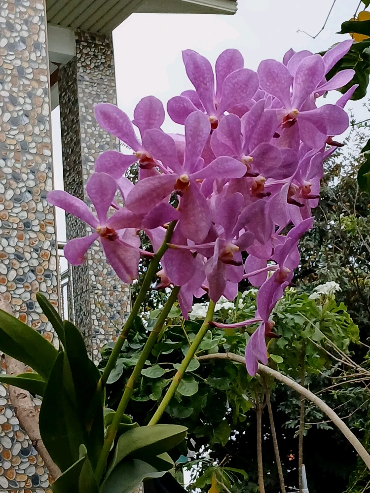 GIF uploaded by Avrielle C.M.