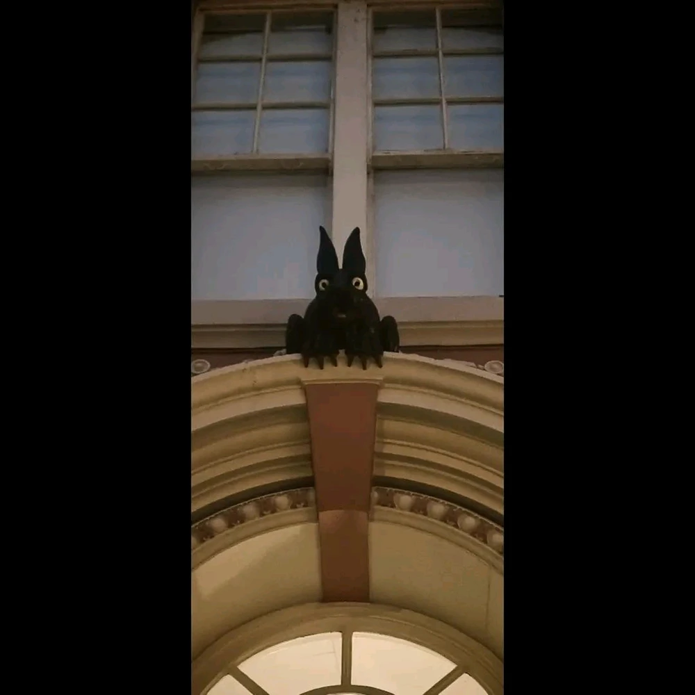 Image uploaded by David