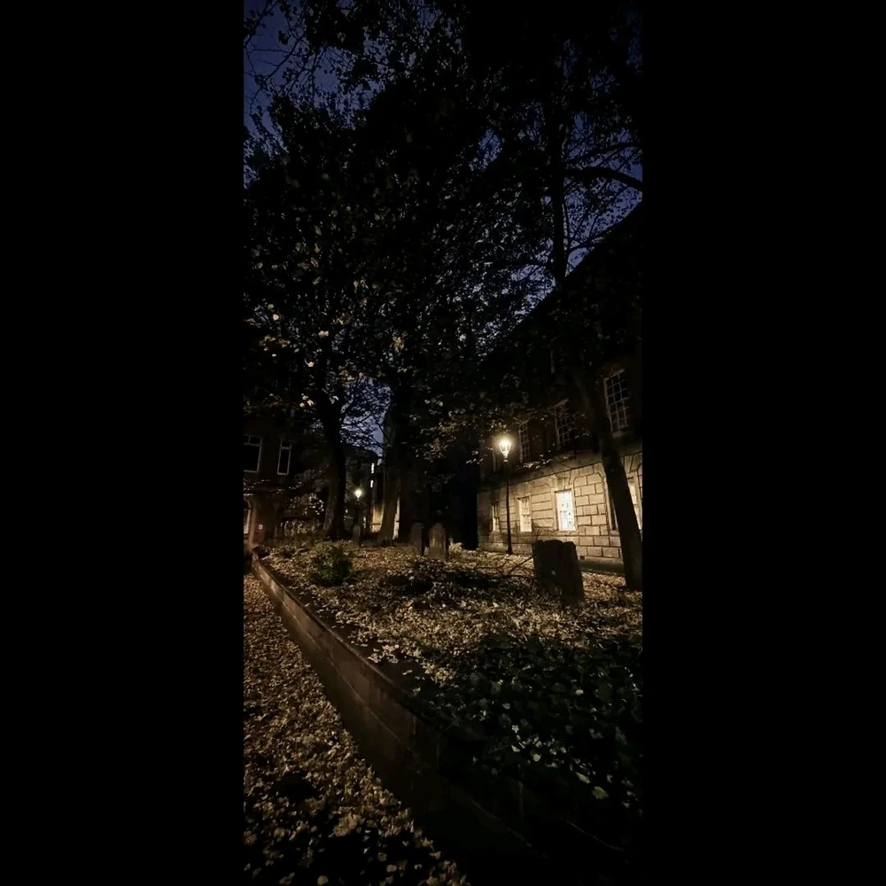 Image uploaded by David