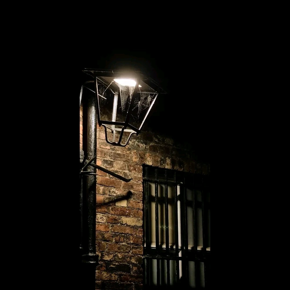 Image uploaded by David