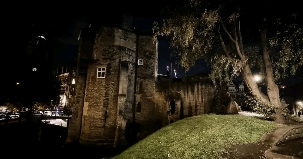 Image uploaded by David