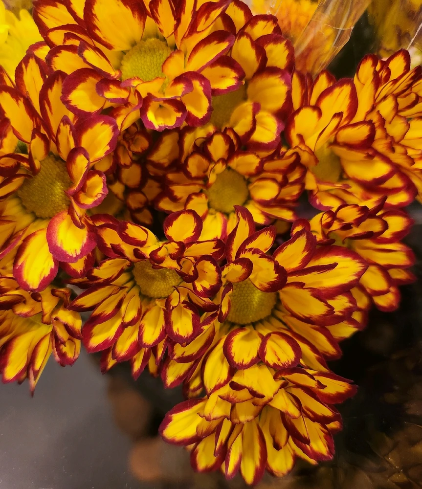 May your day begin with a smile 
on your face, calm in your mind, 
warmth in your heart, and joy in 
your soul... 
May your cup overflow with 
gratitude, love and pure 
awesomeness today and 
forever...
🌼🧡🤎🌼🤎🧡🌼🧡🤎🌼🤎💛🌼