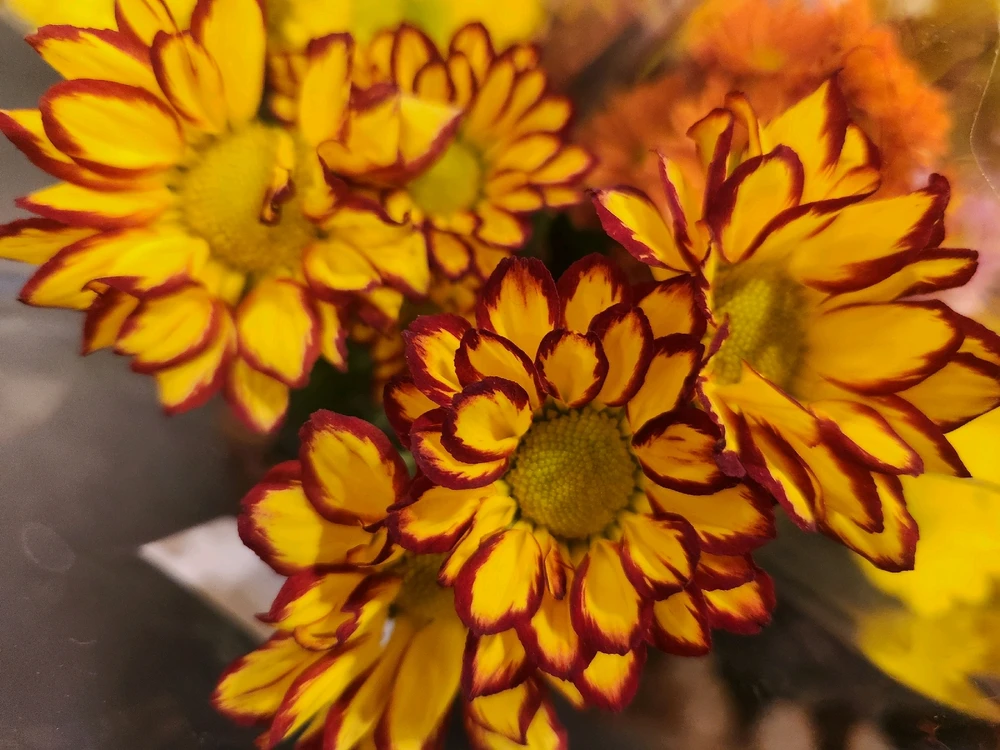 May your day begin with a smile 
on your face, calm in your mind, 
warmth in your heart, and joy in 
your soul... 
May your cup overflow with 
gratitude, love and pure 
awesomeness today and 
forever...
🌼🧡🤎🌼🤎🧡🌼🧡🤎🌼🤎💛🌼