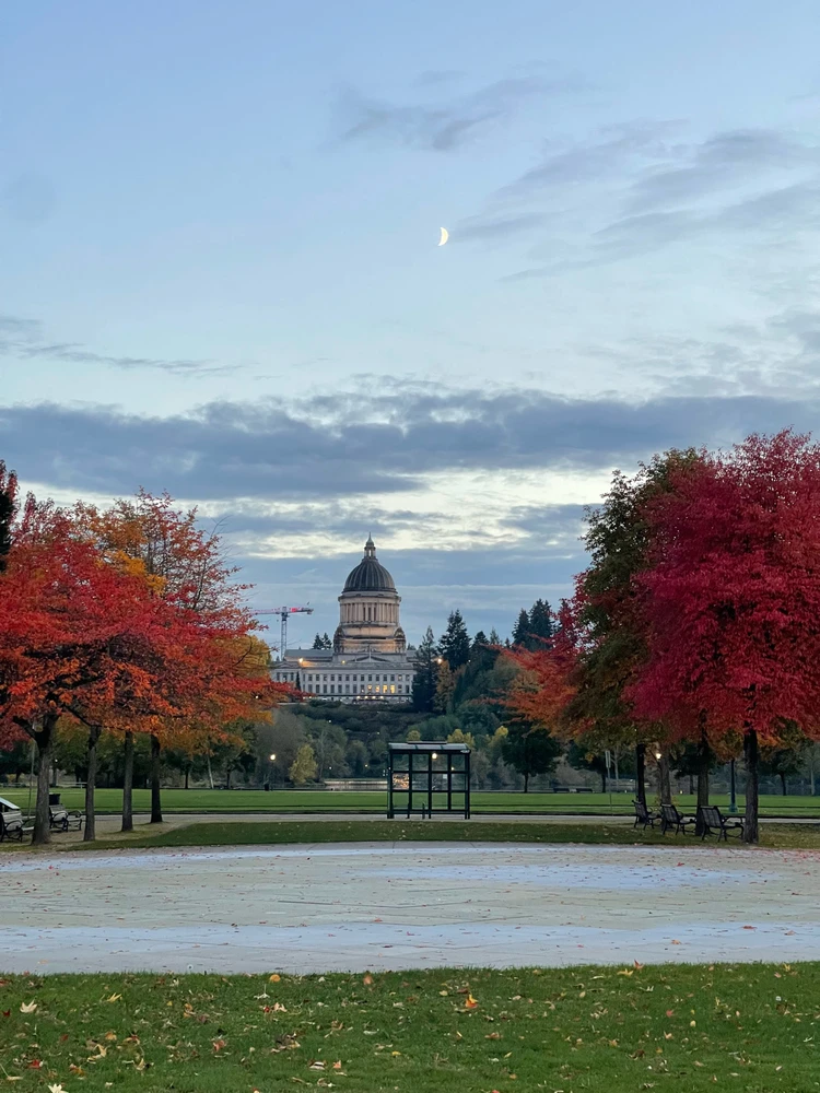 Image uploaded by Ricky