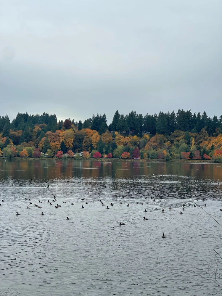 Image uploaded by Ricky